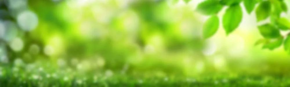 MotorLand: Profi-Technik für Ihren Garten